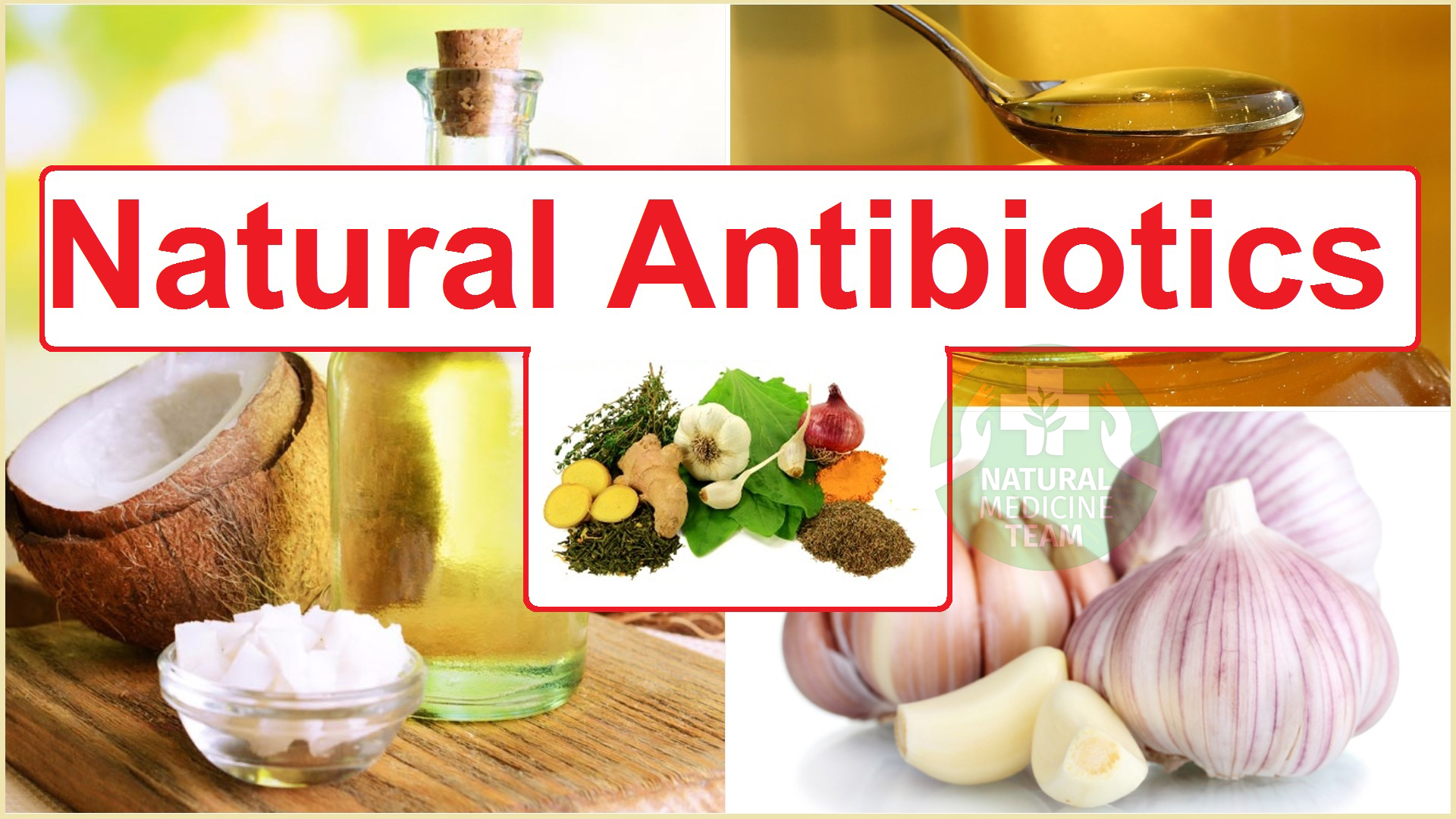 top-10-natural-antibiotics-to-try-at-home-top-natural-remedy