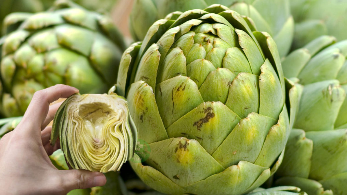 Artichoke Recipes For A Healthy Liver And TumorFree Body