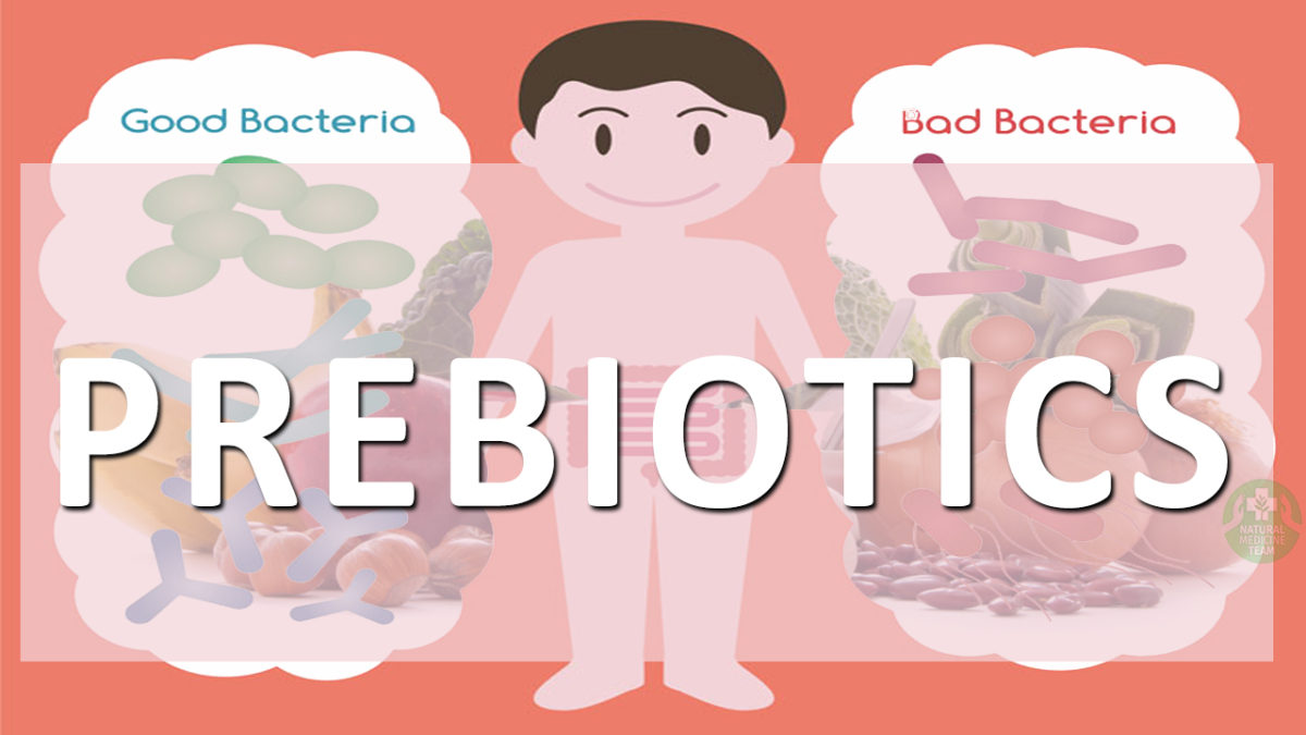 What Are Prebiotics And How To Properly Use Them For Our Gut Health And ...