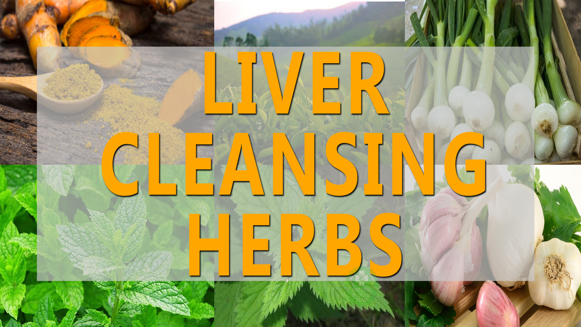 6 Herbs For Liver Cleansing Top Natural Remedy