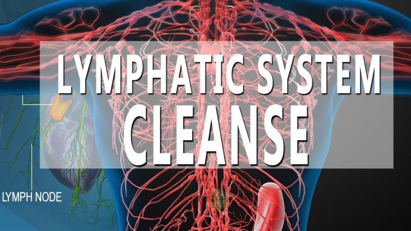 Boost Your Lymphatic System | Top Natural Remedy