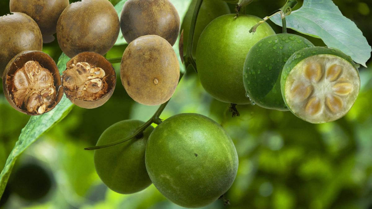 Monk Fruit Extract: The Zero-calorie Sweetener 