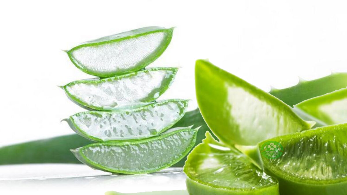 Aloe Vera: 16 Benefits and Medical Uses