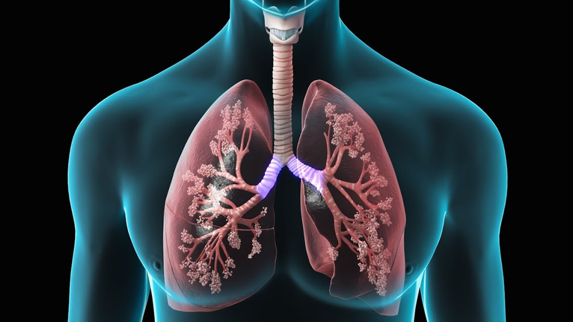 5 Natural Remedies For Lung Function Top Natural Remedy