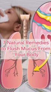 7 Natural Remedies To Flush Mucus From Your Body