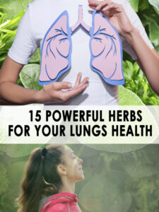 cropped-15-Powerful-Herbs-For-Your-Lungs-Health6.jpg