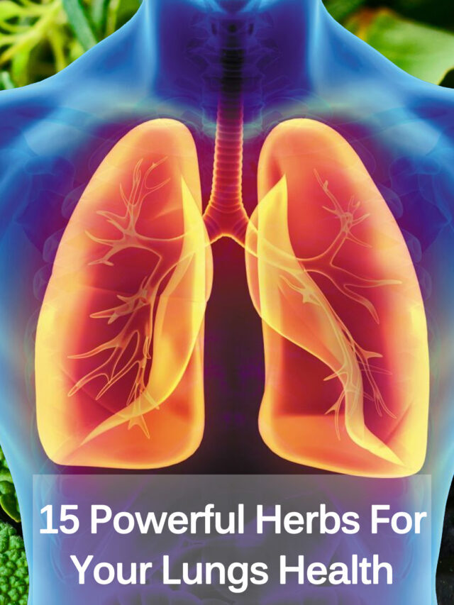 15 Powerful Herbs For Your Lungs Health